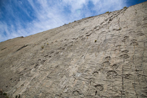 Cal Orcko paleontological site in Sucre. Steep wall with thousands o dinosaur foot prints. SUCRE, Bolivia - October 16th 2019: Cal Orcko paleontological site in Sucre. Steep wall with thousands o dinosaur foot prints. cretaceous photos stock pictures, royalty-free photos & images