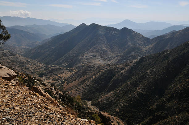 istock Landscape on road from Asmara to Masawa, Eritrea 118947743