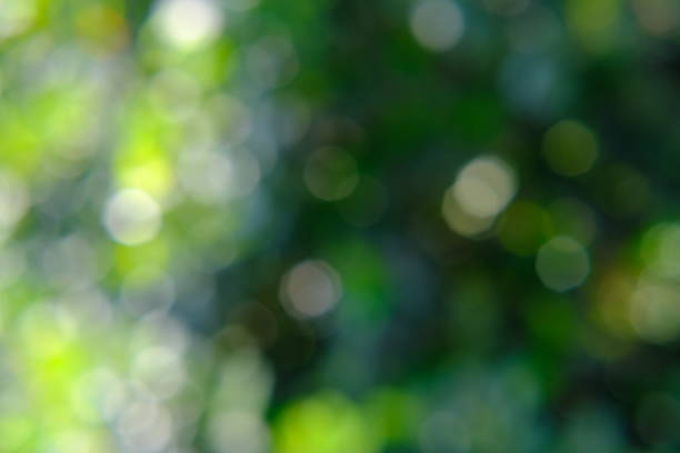 istock Green color wallpaper abstract background and bokeh 1189480326