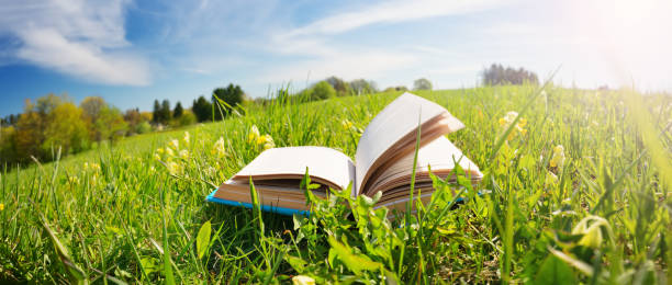 livre ouvert dans l'herbe sur le domaine - book open reading education photos et images de collection