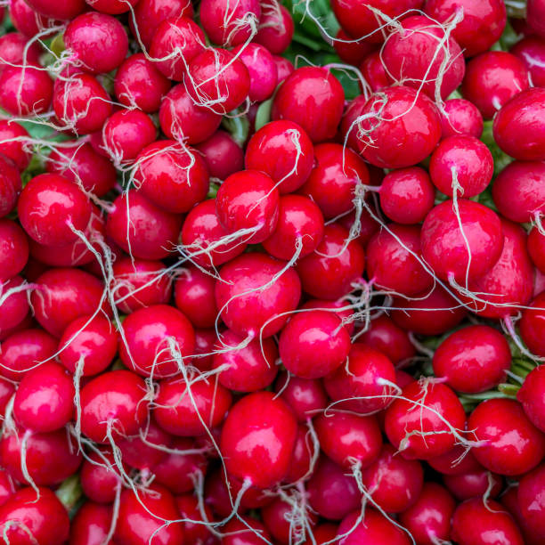 Radishes
