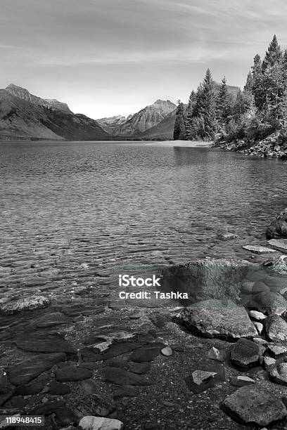 Lake Mcdonald Stock Photo - Download Image Now - Beauty In Nature, Black And White, British Columbia