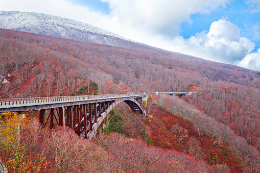 Autumn Fall Landscape of Forest and woods with Jogakura Ohashi Bridge in Aomori Tohoku Japan