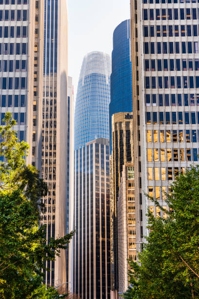 샌프란시스코, 샌프란시스코, 마켓 지구의 남쪽에 있는 높은 주거 및 사무실 건물과 도시 스카이 라인 - cityscape san francisco county city office building 뉴스 사진 이미지