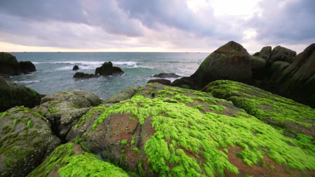 Time Lapse Green algae on rocks in the beach the dawn with dramatic sky