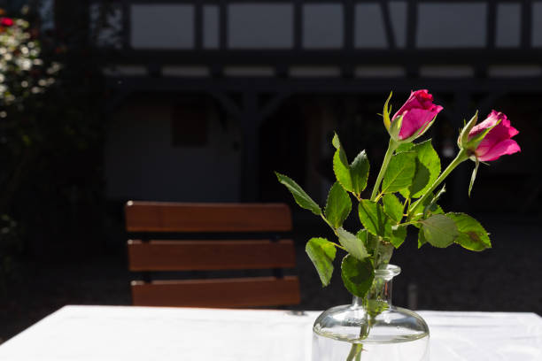 roses decoration in restaurant garden on a table in bottle