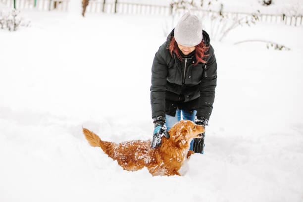 istock Woman playing with dog in snow 1189500877