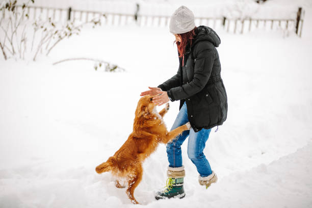 istock Woman playing with dog in snow 1189502090