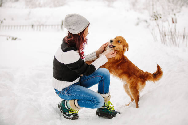 Woman playing with dog in snow at cold winter day