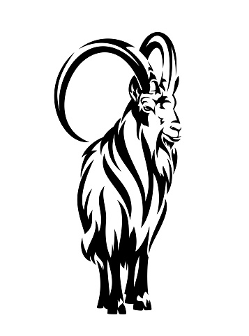 alpine ibex mountain goat with big horns - standing capricorn black and white vector outline