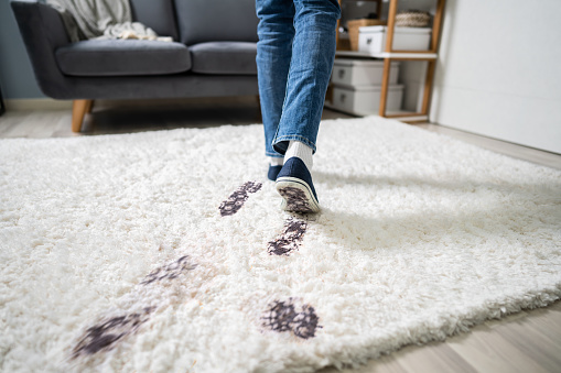 Elevated View Of Person Walking With Muddy Footprint On Carpet