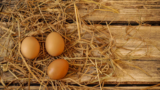 istock Chicken Eggs with straw on wooden table 1189509369