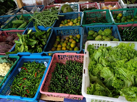 Various kinds of vegetables on the market