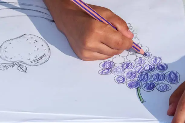 Mastering right hand drawing doing shapes of grapes. School activity. Outdoor natural light activity. Spain.