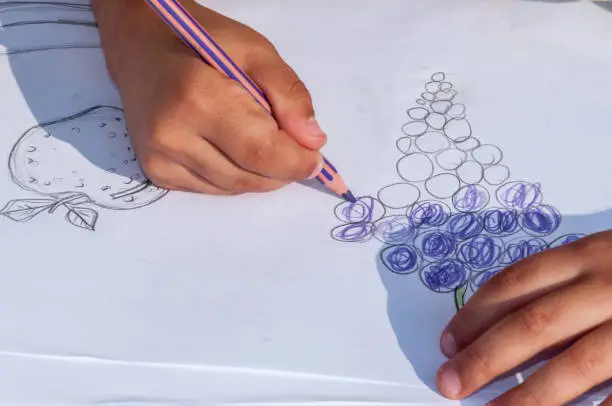 6 Years old child is making circles on a piece of paper. Drawing grapes is a fantastic way to master the use of the pencil. Outdoor activity. Spain