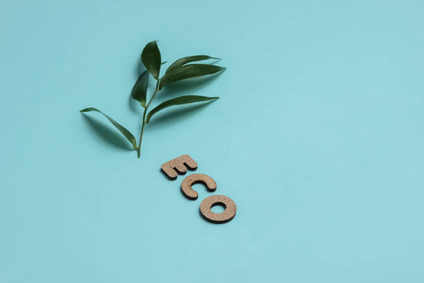 istock eco studio shot. Green leaflets and the inscription eco on blue studio background. 1189515304
