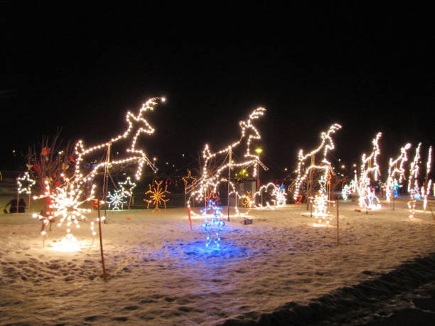 istock Reindeer Christmas Holiday Light Display 1189515388