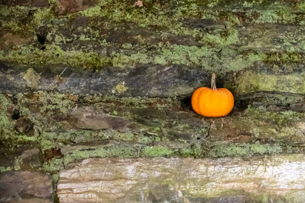 istock Small pumpkin squash in a small hole in a wall 1189521019