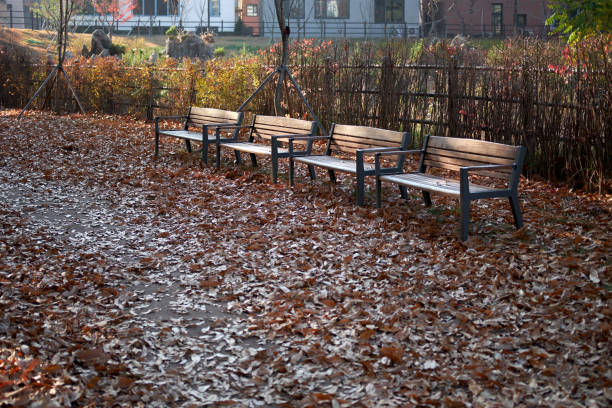 istock Fallen leaves in the park. 1189522866