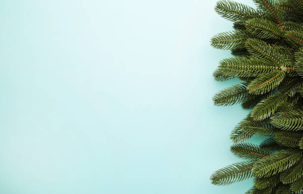 istock Christmas tree branch on mint background with copy space 1189526240