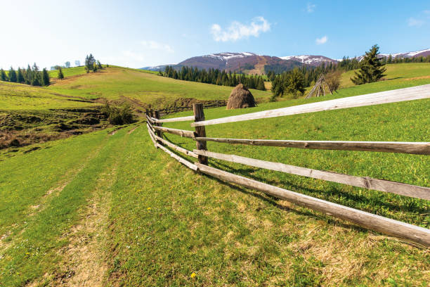 istock transcarpathian rural landscape in springtime 1189532545