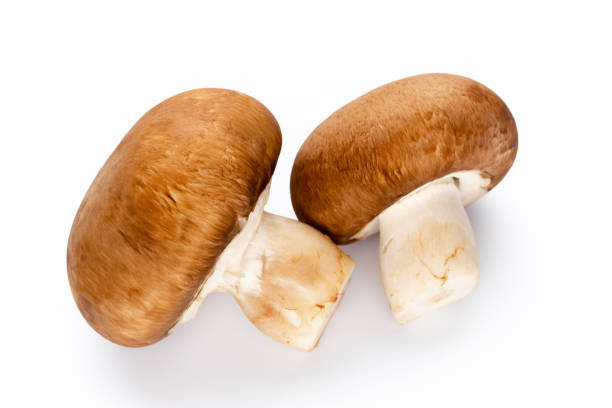 istock Fresh champignon mushrooms isolated on white. 1189539176