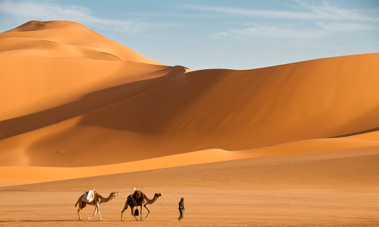 Wadi Rum, Jordan: Camels crossing a road in Wadi Rum.