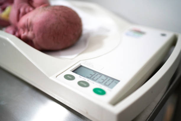 Newborn being weighed on a scale in the hospital Newborn being weighed on a scale in the hospital biracial newborn stock pictures, royalty-free photos & images