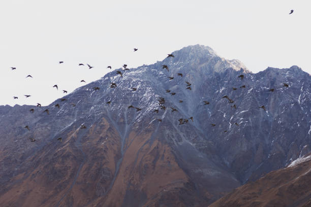 istock Photo taken while traveling in Georgia. 1189551406