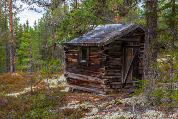 istock Old little timbered cottage deep in the forrest. 1189551435