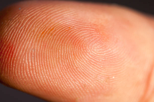 istock Close-up of Thumb and its lines 1189551793