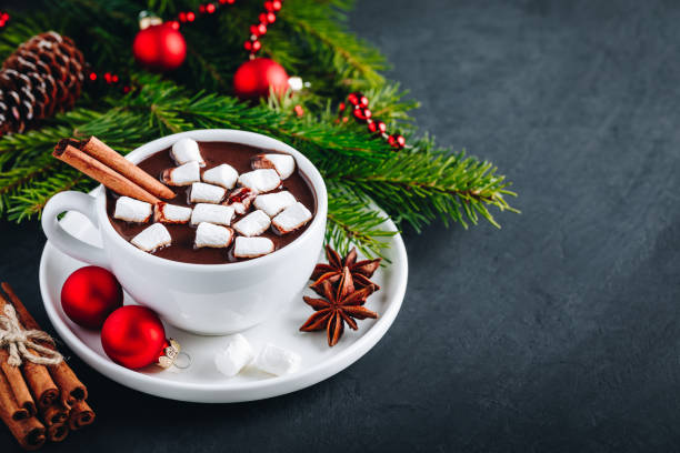 istock Ginger Cinnamon Hot Chocolate with marshmallows for Christmas Holidays. 1189553037