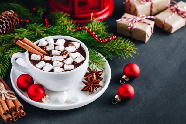 istock Ginger Cinnamon Hot Chocolate with marshmallows for Christmas Holidays. 1189553110
