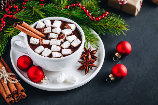 istock Ginger Cinnamon Hot Chocolate with marshmallows for Christmas Holidays. 1189553133
