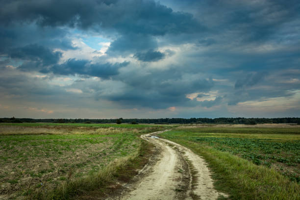 istock Country road through fields, horizon and dark clouds on sky 1189560207