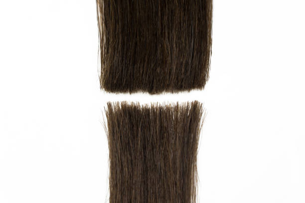 istock hair extension and hair tool 1189560343