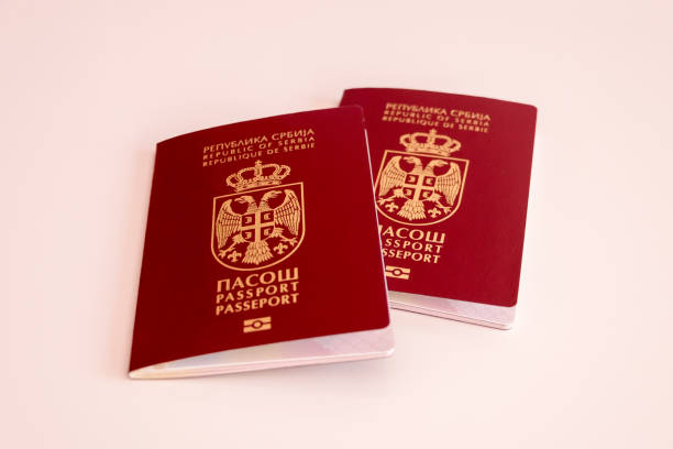istock Two Serbian passports on white background 1189563596