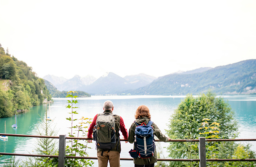 A rear view of senior pensioner couple standing by lake in nature. Copy space.