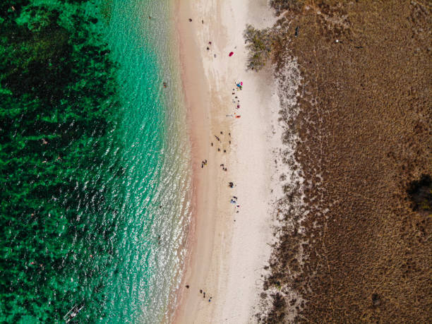 istock Komodo National Park - Indonesia 1189565675