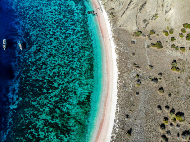 istock Komodo National Park - Indonesia 1189566641