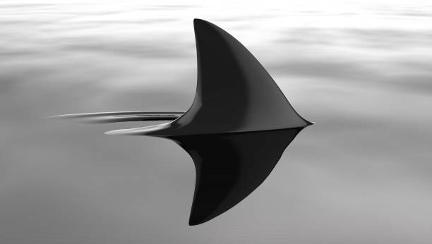 3d illustration of a shark swimming in a dark setting