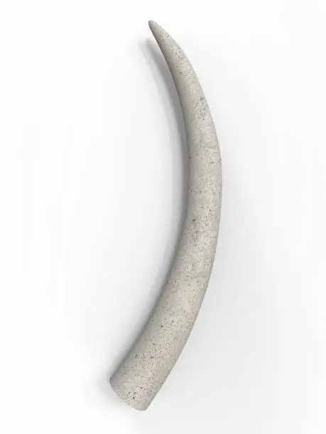 Photo of 3d illustration of ivory tusk on a white background