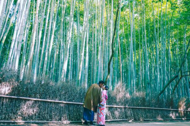 istock Honeymoon in Kyoto Japan 1189572904
