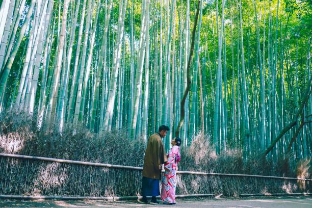 istock Honeymoon in Kyoto Japan 1189572934