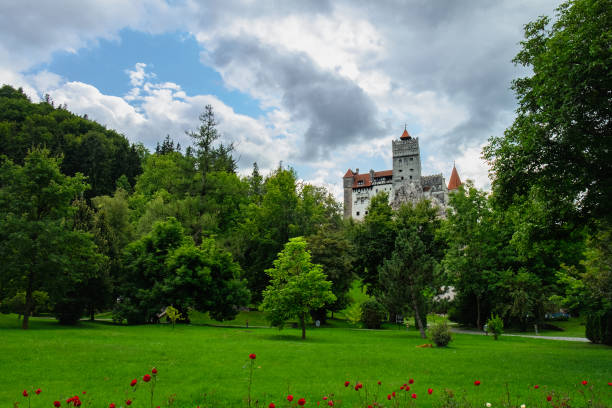 Brasov, Romania, November 01, 2023, Bran Castle, tree and Halloween cpcept,  Transylvania - Most famous destination of Romania, halloween concept