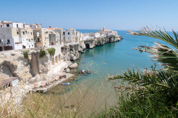 istock Vieste and the sea 1189576200