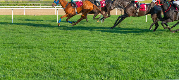 istock Race to the Finish 1189577842