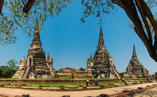 Tree branches framing old stupas of Wat Phra Si Sanphet Temple, ancient city of Ayutthaya, Thailand.