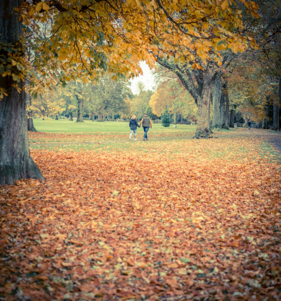 istock Active seniors on a walk in autumn forest 1189582458