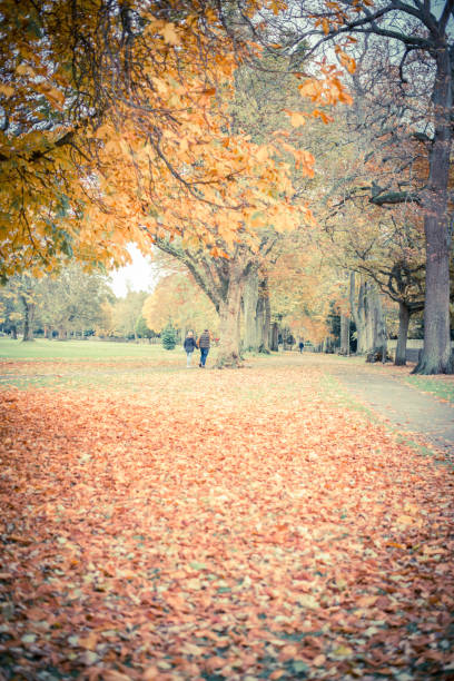 istock Happy old couple smiling in a park on a sunny day 1189582465